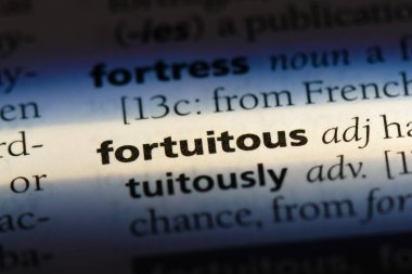 tesadüfi kelime sözlüğe. tesadüfi kavramı