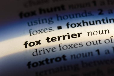 tilki korkunç Word'de bir sözlük. tilki korkunç kavramı