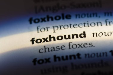 Foxhound Word'de bir sözlük. Foxhound kavramı