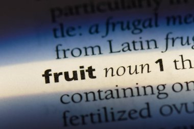 meyve Word'de bir sözlük. meyve kavramı