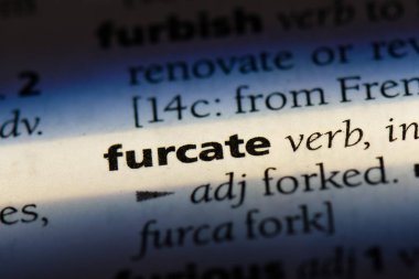 bir sözlüğü'ndeki sözcüğü furcate. furcate kavramı