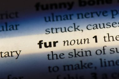 kürk Word'de bir sözlük. kürk kavramı