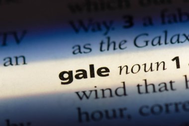 Gale Word'de bir sözlük. Gale kavramı