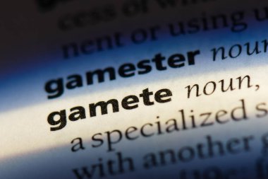 bir sözlüğü'ndeki gamet sözcüğü. gamet kavramı