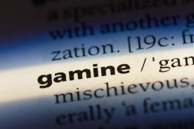 haylaz Word'de bir sözlük. haylaz kavramı