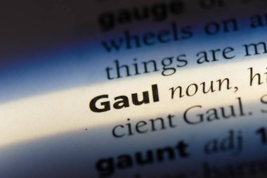 Galya Word'de bir sözlük. Galya kavramı