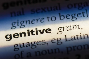 genitive tek kelimeyle bir sözlük. genitive kavramı
