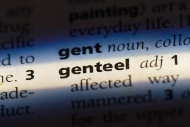 kibar tek kelimeyle bir sözlük. kibar kavramı