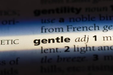 nazik kelime sözlüğe. nazik kavramı