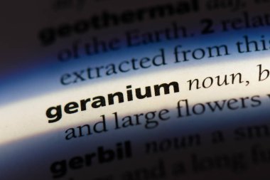 Sardunya tek kelimeyle bir sözlük. Sardunya kavramı