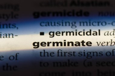 bir sözlüğü'ndeki sözcüğü çimlenme. kavram çimlenme