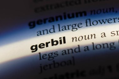 fare Word'de bir sözlük. fare kavramı