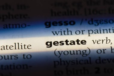 bir sözlüğü'ndeki sözcüğü cenin. kavram cenin