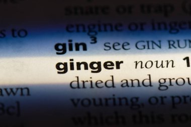 bir sözlüğü'ndeki sözcüğü Kızıl. zencefil kavramı