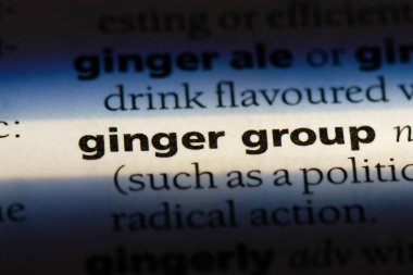 zencefil grup Word'de bir sözlük. zencefil grup kavramı