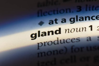 bezi tek kelimeyle bir sözlük. bezi kavramı