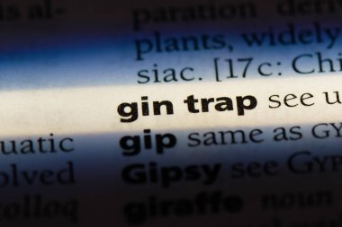 cin tuzak bir sözlük tek kelimeyle. cin tuzak kavramı