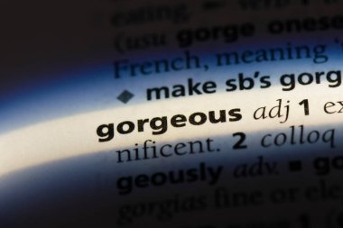 muhteşem tek kelimeyle bir sözlük. muhteşem kavramı