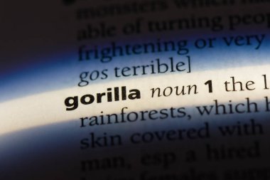 goril Word'de bir sözlük. goril kavramı