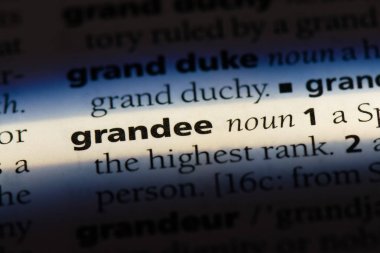 büyük bir sözlük tek kelimeyle. büyük kavramı