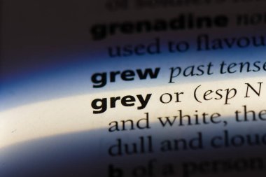 gri tek kelimeyle bir sözlük. gri kavramı