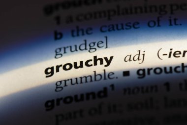 huysuz tek kelimeyle bir sözlük. huysuz kavramı