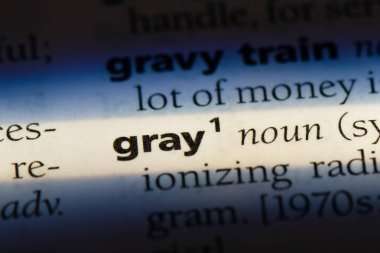 gri tek kelimeyle bir sözlük. gri kavramı