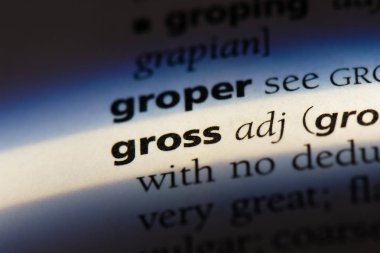 bir sözlüğü'ndeki brüt sözcüğü. Brüt kavramı