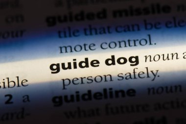 rehber köpek Word'de bir sözlük. rehber köpek kavramı