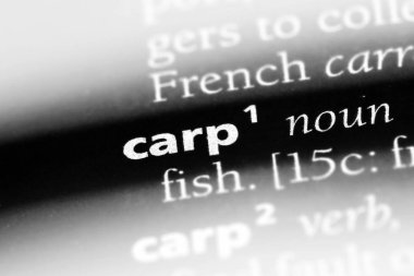 bir sözlüğü'ndeki sazan sözcüğü. sazan kavramı