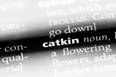 kedicik Word'de bir sözlük. kedicik kavramı