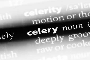 kereviz Word'de bir sözlük. kereviz kavramı