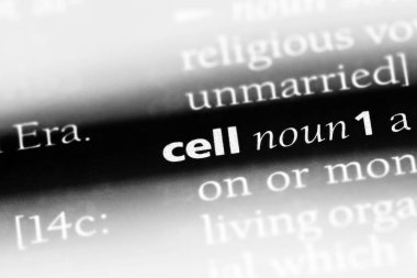 hücre Word'de bir sözlük. Hücre kavramı