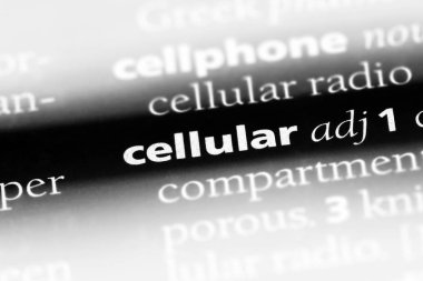 hücresel tek kelimeyle bir sözlük. hücresel kavramı