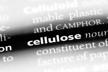 Selüloz Word'de bir sözlük. Selüloz kavramı