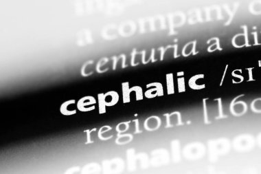 bir sözlüğü'ndeki sefalik sözcüğü. sefalik kavramı