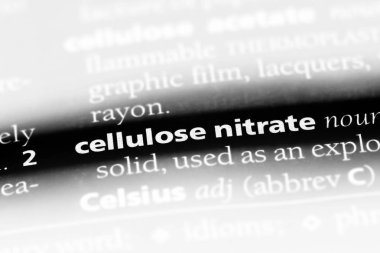 selüloz nitrat Word'de bir sözlük. selüloz nitrat kavramı