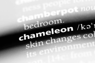 bukalemun Word'de bir sözlük. bukalemun kavramı