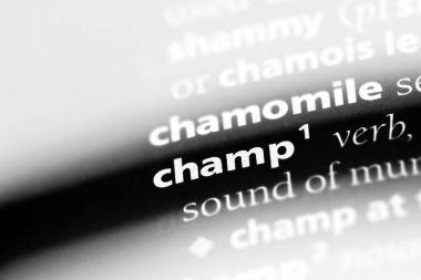 Sözlüğe sözcük şampiyon. kavram şampiyon