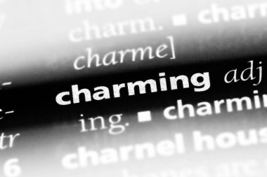 Tek kelimeyle büyüleyici bir sözlük. büyüleyici kavramı