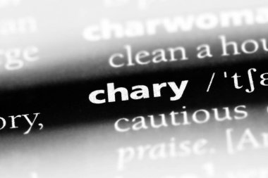 bir sözlüğü'ndeki sakınan sözcüğü. sakınan kavramı