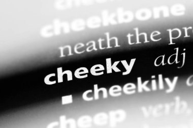 arsız tek kelimeyle bir sözlük. arsız kavramı