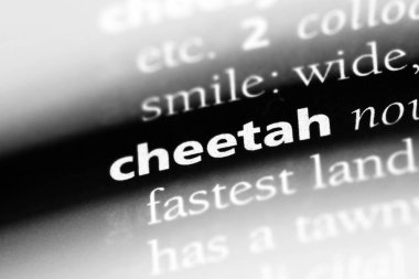 Cheetah Word'de bir sözlük. Cheetah kavramı