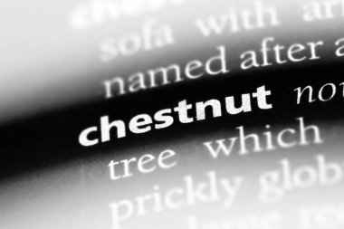 kestane tek kelimeyle bir sözlük. kestane kavramı