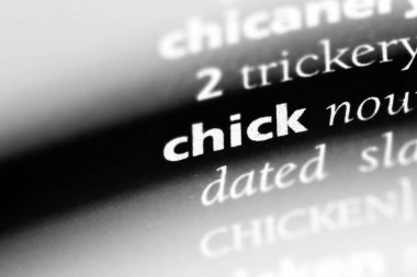 piliç Word'de bir sözlük. piliç kavramı