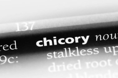 bir sözlüğü'ndeki hindiba sözcüğü. hindiba kavramı