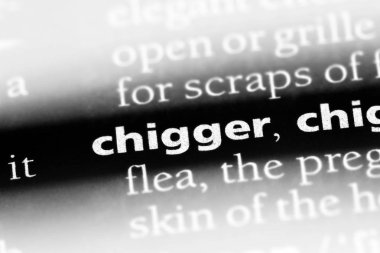 Chigger sözcük sözlüğe. Chigger kavramı