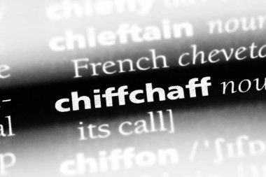 çıvgın Word'de bir sözlük. çıvgın kavramı