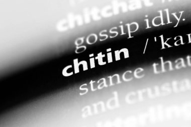 Kitin Word'de bir sözlük. Kitin kavramı