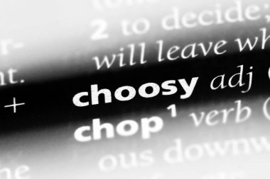 seçici tek kelimeyle bir sözlük. titiz kavramı